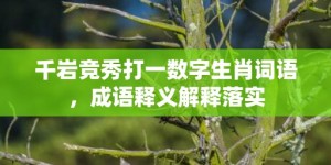 千岩竞秀打一数字生肖词语，成语释义解释落实