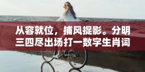 从容就位，捕风捉影。分明三四尽出场打一数字生肖词语，成语释义解释落实