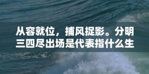 从容就位，捕风捉影。分明三四尽出场是代表指什么生肖，成语释义解释落实