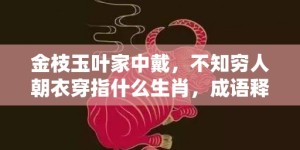 金枝玉叶家中戴，不知穷人朝衣穿指什么生肖，成语释义解释落实