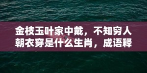 金枝玉叶家中戴，不知穷人朝衣穿是什么生肖，成语释义解释落实