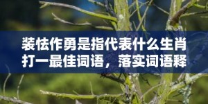 装怯作勇是指代表什么生肖打一最佳词语，落实词语释义解释