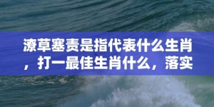 潦草塞责是指代表什么生肖，打一最佳生肖什么，落实词语释义解释