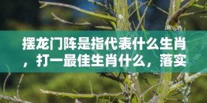 摆龙门阵是指代表什么生肖，打一最佳生肖什么，落实词语释义解释