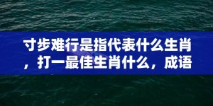 寸步难行是指代表什么生肖，打一最佳生肖什么，成语解释落实释义