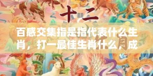 百感交集指是指代表什么生肖，打一最佳生肖什么，成语释义解释落实