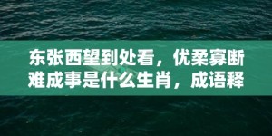 东张西望到处看，优柔寡断难成事是什么生肖，成语释义解释落实