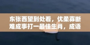 东张西望到处看，优柔寡断难成事打一最佳生肖，成语释义解释落实