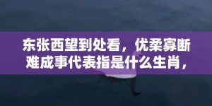 东张西望到处看，优柔寡断难成事代表指是什么生肖，成语释义解释落实