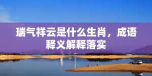 瑞气祥云是什么生肖，成语释义解释落实