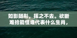 如影随形，挥之不去。欲断难拾能怪谁代表什么生肖，成语释义解释落实