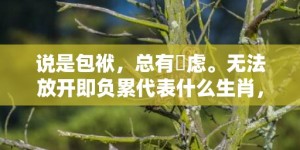 说是包袱，总有掛虑。无法放开即负累代表什么生肖，成语释义解释落实