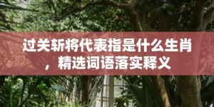 过关斩将代表指是什么生肖，精选词语落实释义