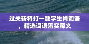 过关斩将打一数字生肖词语，精选词语落实释义