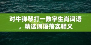 对牛弹琴打一数字生肖词语，精选词语落实释义