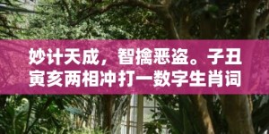 妙计天成，智擒恶盗。子丑寅亥两相冲打一数字生肖词语，精选词语落实释义