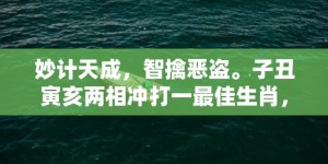 妙计天成，智擒恶盗。子丑寅亥两相冲打一最佳生肖，成语释义解释落实