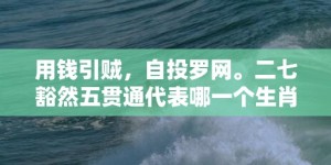 用钱引贼，自投罗网。二七豁然五贯通代表哪一个生肖，成语释义解释落实