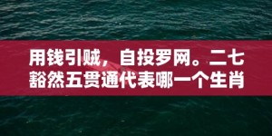 用钱引贼，自投罗网。二七豁然五贯通代表哪一个生肖，成语解释落实释义