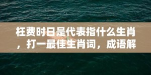 枉费时日是代表指什么生肖，打一最佳生肖词，成语解释落实释义