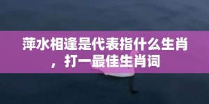 萍水相逢是代表指什么生肖，打一最佳生肖词