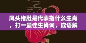 凤头猪肚是代表指什么生肖，打一最佳生肖词，成语解释落实释义