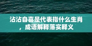 沾沾自喜是代表指什么生肖，成语解释落实释义