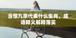 含恨九泉代表什么生肖，成语释义解释落实