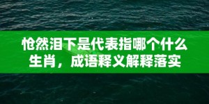 怆然泪下是代表指哪个什么生肖，成语释义解释落实