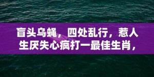 盲头乌蝇，四处乱行，惹人生厌失心疯打一最佳生肖，成语释义解释落实