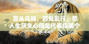 盲头乌蝇，四处乱行，惹人生厌失心疯是代表指哪个什么生肖，成语释义解释落实