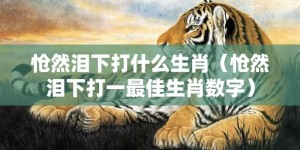 怆然泪下打什么生肖（怆然泪下打一最佳生肖数字）