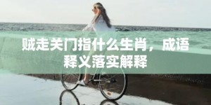 贼走关门指什么生肖，成语释义落实解释