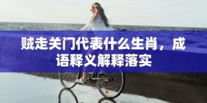 贼走关门代表什么生肖，成语释义解释落实