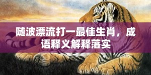 随波漂流打一最佳生肖，成语释义解释落实