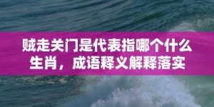 贼走关门是代表指哪个什么生肖，成语释义解释落实