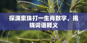 探渊索珠打一生肖数字，揭晓词语释义