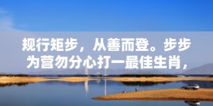 规行矩步，从善而登。步步为营勿分心打一最佳生肖，成语释义解释落实