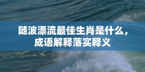 随波漂流最佳生肖是什么，成语解释落实释义