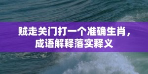 贼走关门打一个准确生肖，成语解释落实释义