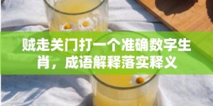 贼走关门打一个准确数字生肖，成语解释落实释义