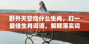 野外天空指什么生肖，打一最佳生肖词语，解释落实词语释义