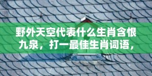 野外天空代表什么生肖含恨九泉，打一最佳生肖词语，解释落实词语释义