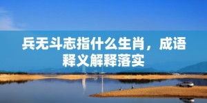 兵无斗志指什么生肖，成语释义解释落实