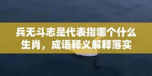 兵无斗志是代表指哪个什么生肖，成语释义解释落实