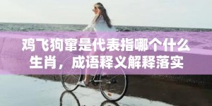 鸡飞狗窜是代表指哪个什么生肖，成语释义解释落实