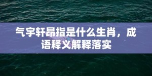 气宇轩昂指是什么生肖，成语释义解释落实