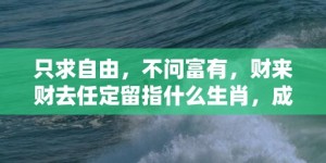 只求自由，不问富有，财来财去任定留指什么生肖，成语释义解释落实