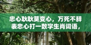 忠心耿耿莫变心，万死不辞表忠心打一数字生肖词语，成语释义解释落实