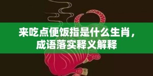 来吃点便饭指是什么生肖，成语落实释义解释